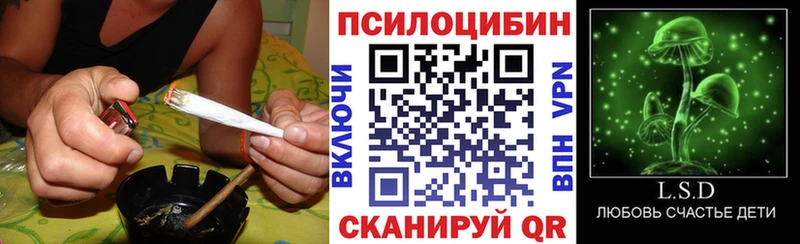 Купить где  Щёлково  Галлюциногенные грибы MAGIC MUSHROOMS 